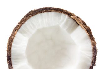 Coconut meat nutrition facts