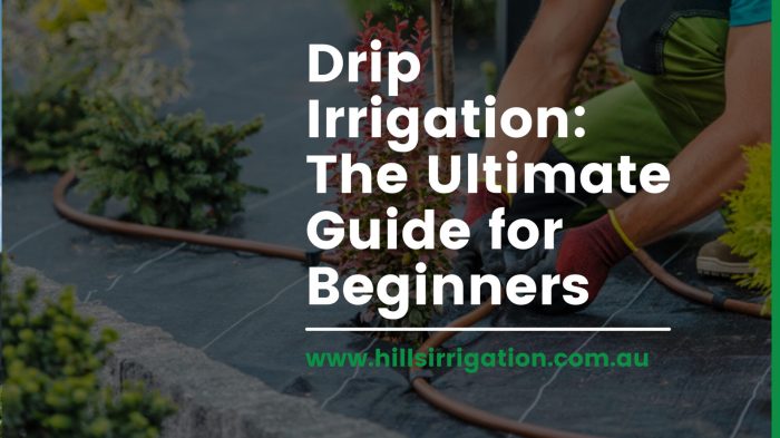 How long to water plants with drip irrigation