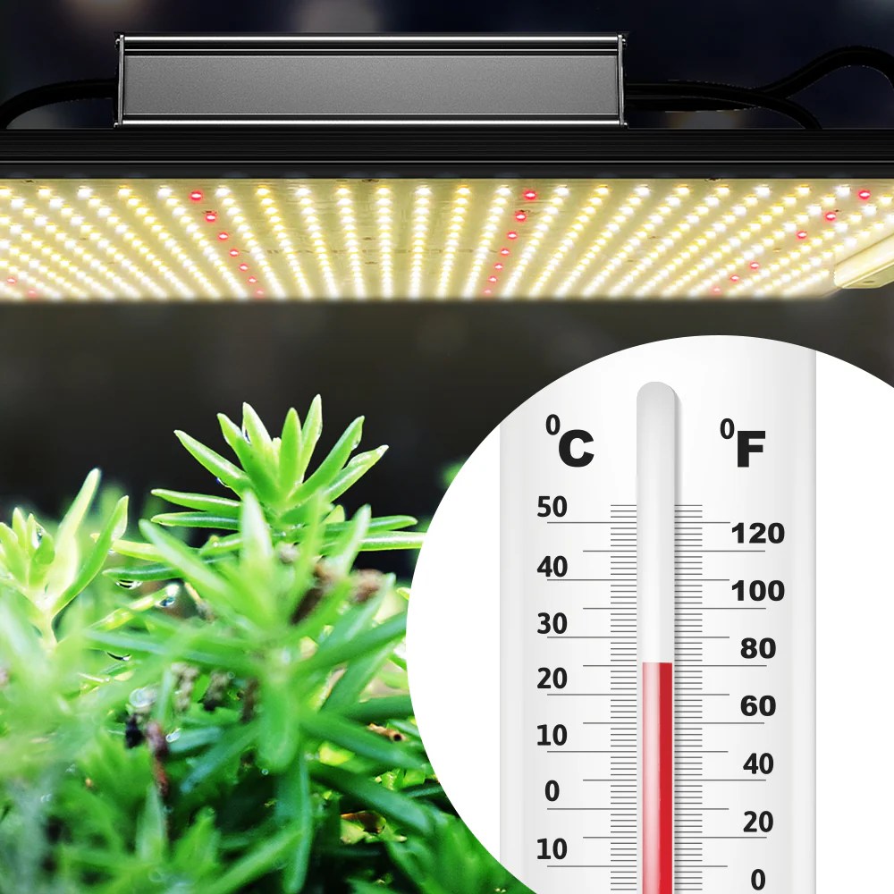 Does water temperature affect the growth of plants