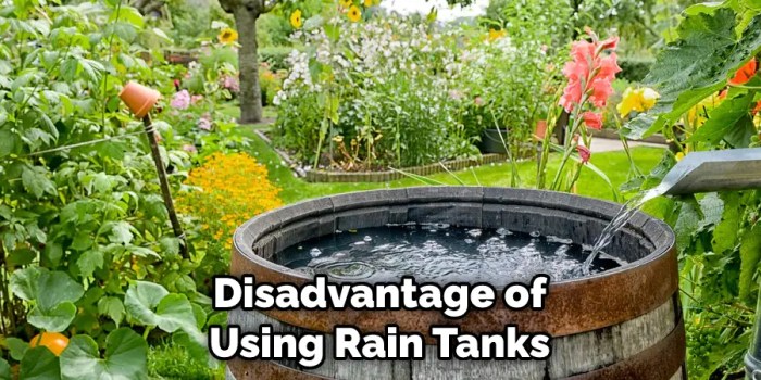 How long is rain water good for plants