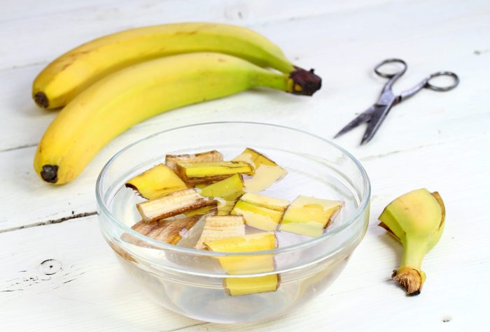 What plants is banana water good for