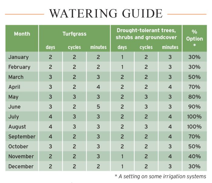 How many times should you water your plants