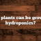 What Plants Can Grow in Water Only?