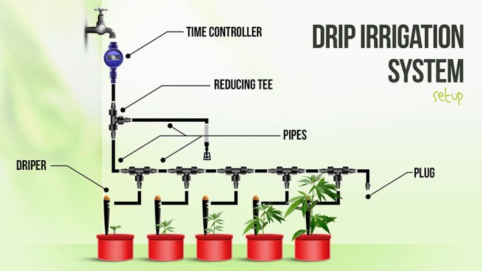 How long to water plants with drip irrigation