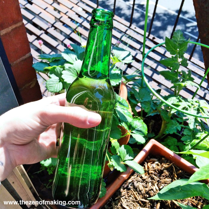 Beer bottle diy plant bottles plants while water vacation keep waterer so projects wine watering old globe ways alive use