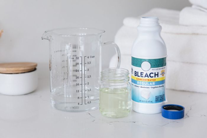 Will bleach water kill plants