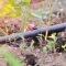 How Long to Water Plants with Drip Irrigation