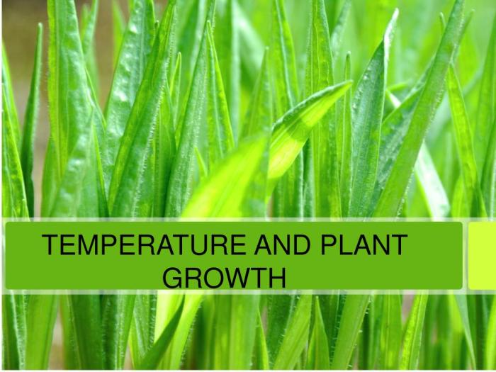 Does water temperature affect the growth of plants