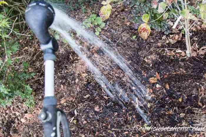 Seeds watering water planting garden keep after planted