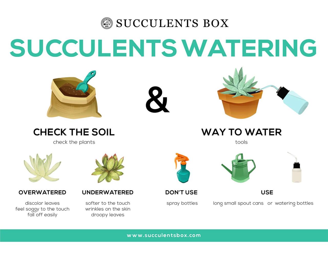 How often should you water your plants outside